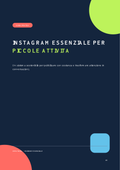 Instagram essenziale per piccole attività